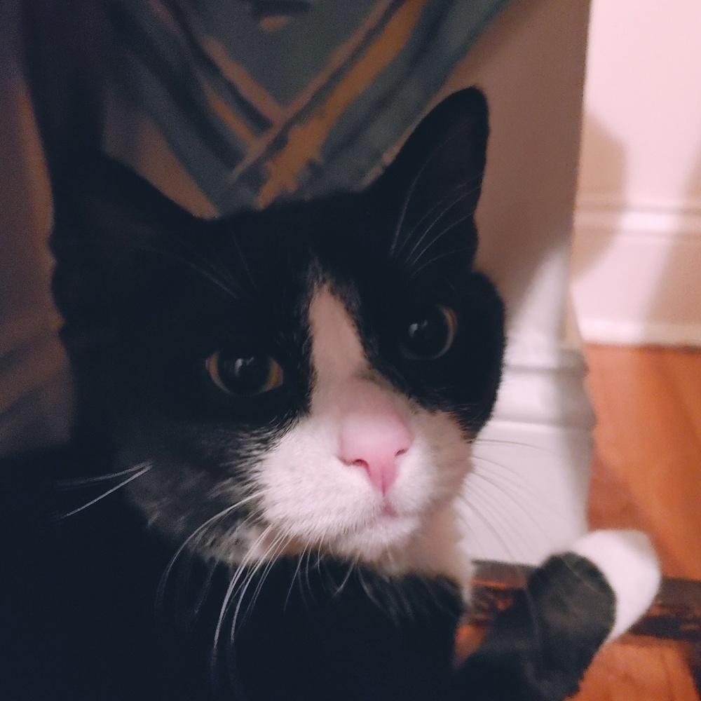 Meet your Posher, Catherine